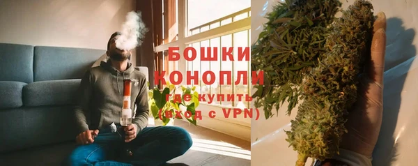 индика Вязники