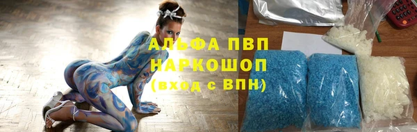 тгк Пересвет