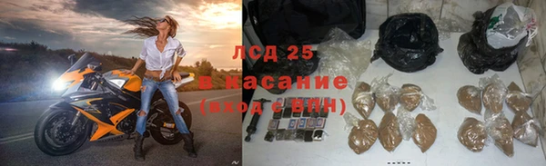 индика Вязники