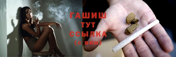 индика Вязники