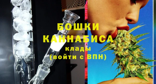 индика Вязники