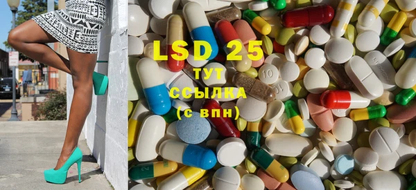 индика Вязники