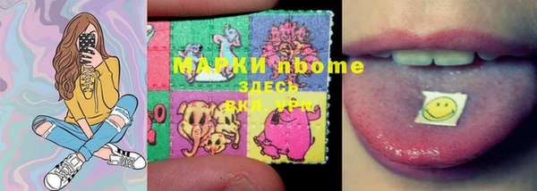 индика Вязники