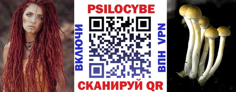 Купить  Радужный  Галлюциногенные грибы Magic Shrooms 